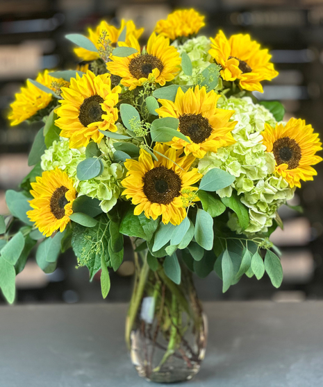 One Dozen Sunflowers with Hydrangea