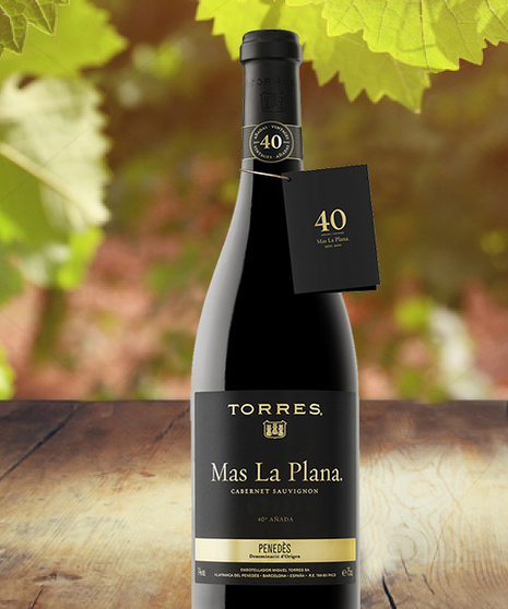 Torres Mas La Plana Cabernet