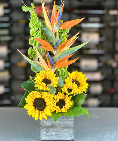 Tropical Sunflower Paradise